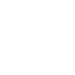 loupe