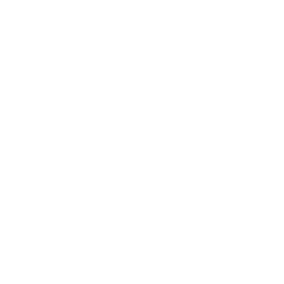 rapide.webp